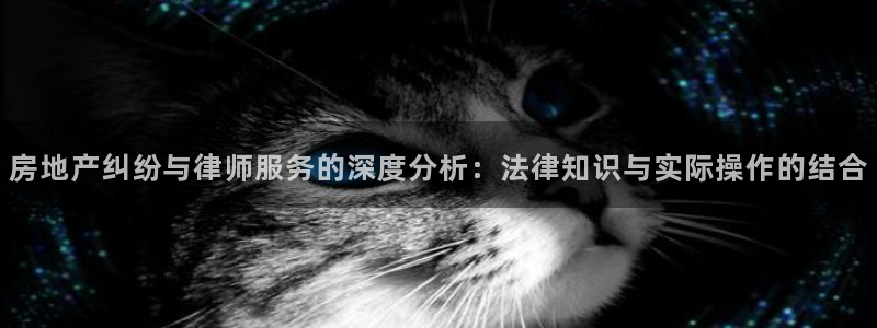 和记娱乐唯一官网：房地产纠纷与律师服务的深度分析：法律知识与