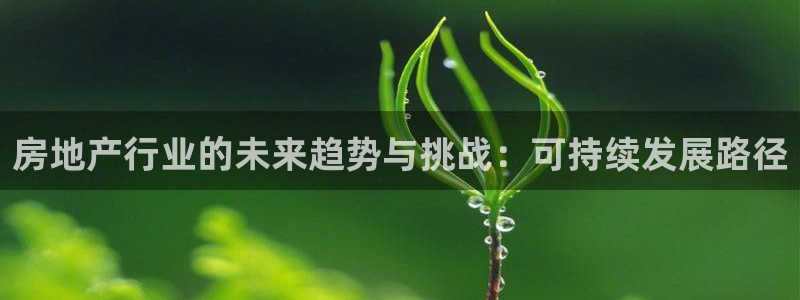 和记娱乐平台官网：房地产行业的未来趋势与挑战：可持续发展路径