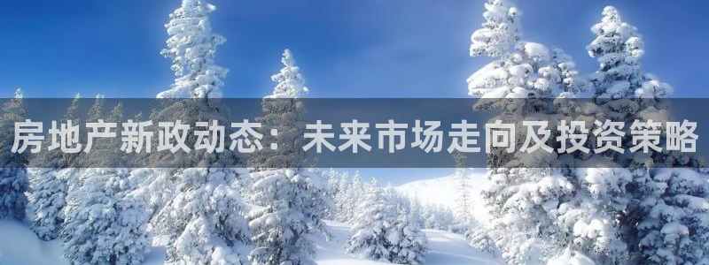 和记官网和记：房地产新政动态：未来市场走向及投资策略