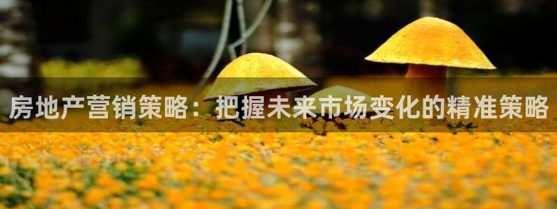 和记官网充值：房地产营销策略：把握未来市场变化的精准策略
