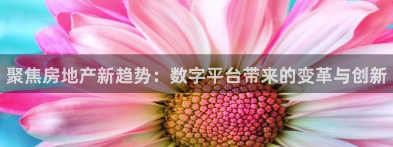 香港3和记官网：聚焦房地产新趋势：数字平台带来的变革与创新