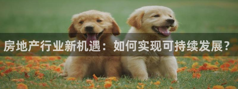 缅甸和记平台官网：房地产行业新机遇：如何实现可持续发展？