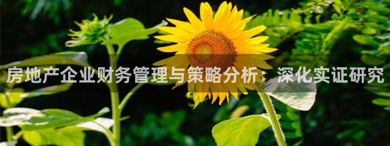 缅甸和记官网：房地产企业财务管理与策略分析：深化实证研究