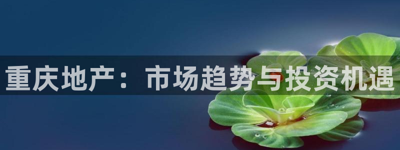 和记官网手机新版app下载：重庆地产：市场趋势与投资机遇