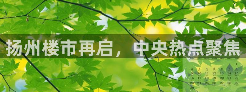 和记日化官网：扬州楼市再启，中央热点聚焦