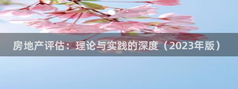 和记备用官网：房地产评估：理论与实践的深度（2023年版）