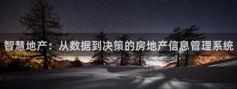 和记万佳国际家居城官网：智慧地产：从数据到决策的房地产信息管