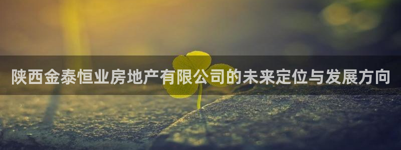 和记娱乐唯一官网：陕西金泰恒业房地产有限公司的未来定位与发展