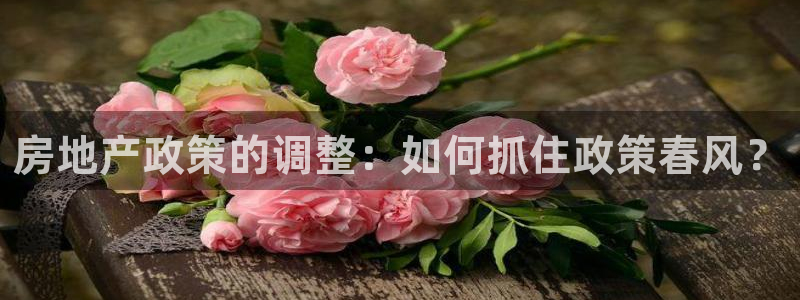 和记娱乐网官网：房地产政策的调整：如何抓住政策春风？