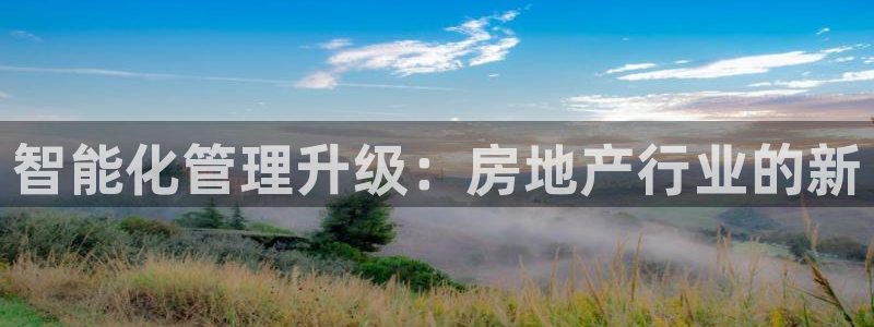 和记官网地址：智能化管理升级：房地产行业的新