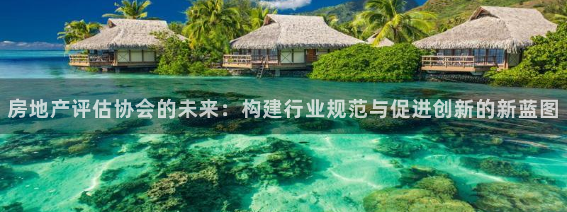 和记娱真好h88285官网：房地产评估协会的未来：构建行业规