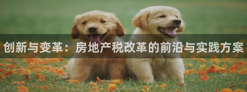 和记洋行官网：创新与变革：房地产税改革的前沿与实践方案
