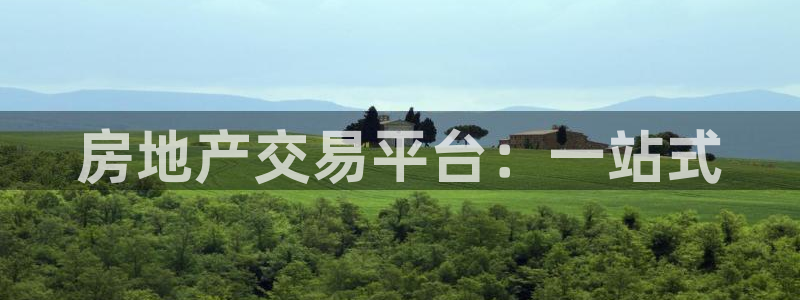 成都和记黄埔官网：房地产交易平台：一站式