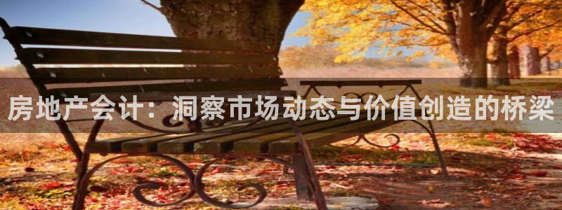 和记娱要多少钱h88285官网：房地产会计：洞察市场动态与价