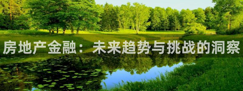 和记官网开户 银博网：房地产金融：未来趋势与挑战的洞察