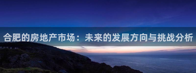 和记官网平台：合肥的房地产市场：未来的发展方向与挑战分析
