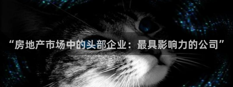 和记官网和记：“房地产市场中的头部企业：最具影响力的公司”