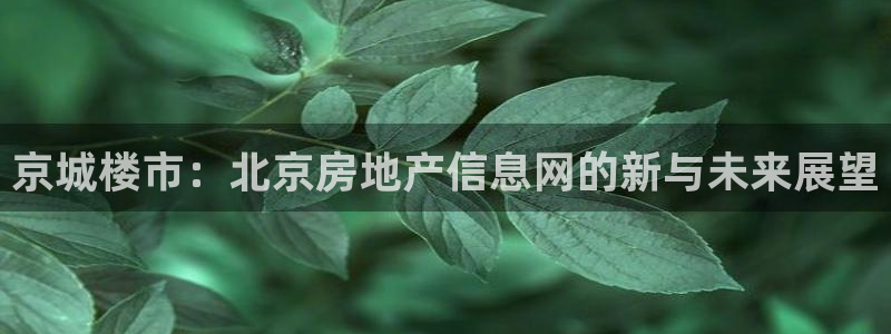和记网址官网：京城楼市：北京房地产信息网的新与未来展望