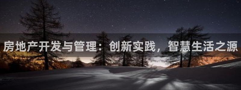 缅甸和记官网：房地产开发与管理：创新实践，智慧生活之源