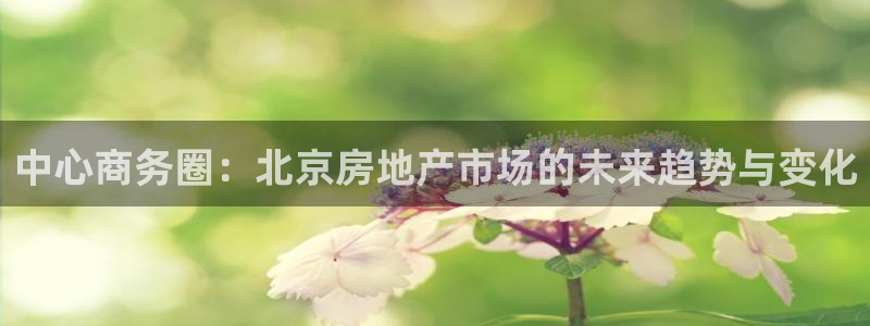 和记娱乐平台官网：中心商务圈：北京房地产市场的未来趋势与变化