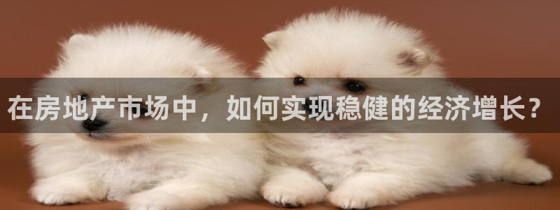和记中国官网：在房地产市场中，如何实现稳健的经济增长？
