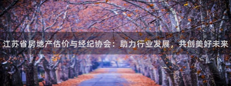 和记娱乐平台官网：江苏省房地产估价与经纪协会：助力行业发展，