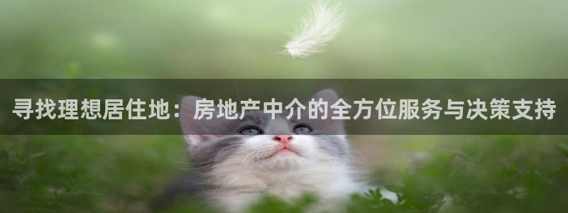 白云 和记黄埔官网：寻找理想居住地：房地产中介的全方位服务与