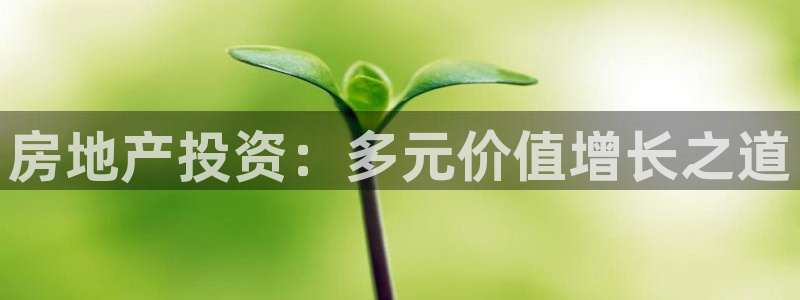和记怡情视频官网：房地产投资：多元价值增长之道