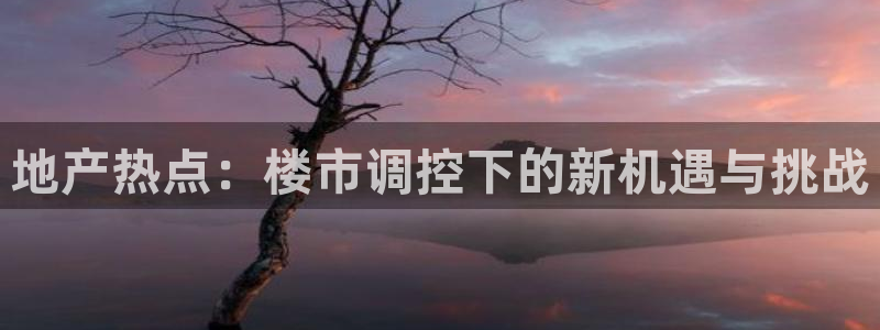 和记家家加盟官网：地产热点：楼市调控下的新机遇与挑战