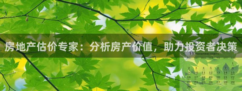 和记官网进入：房地产估价专家：分析房产价值，助力投资者决策
