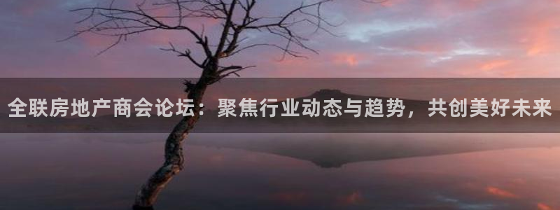 元和记官网：全联房地产商会论坛：聚焦行业动态与趋势，共创美好