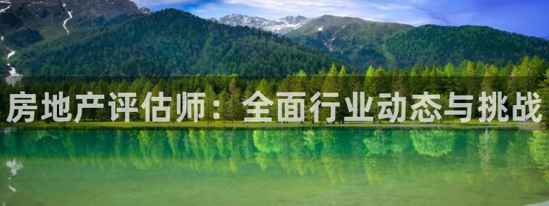 和记娱答疑h88285官网：房地产评估师：全面行业动态与挑战