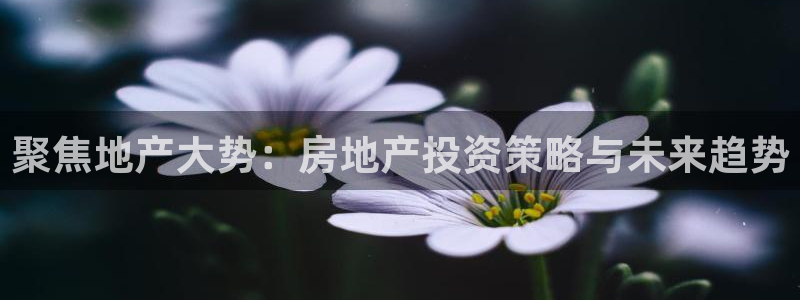 武汉和记黄埔官网：聚焦地产大势：房地产投资策略与未来趋势