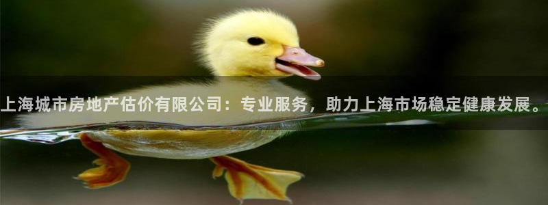 和记官网app：上海城市房地产估价有限公司：专业服务，助力上