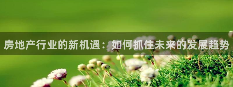 和记茶餐厅官网：房地产行业的新机遇：如何抓住未来的发展趋势