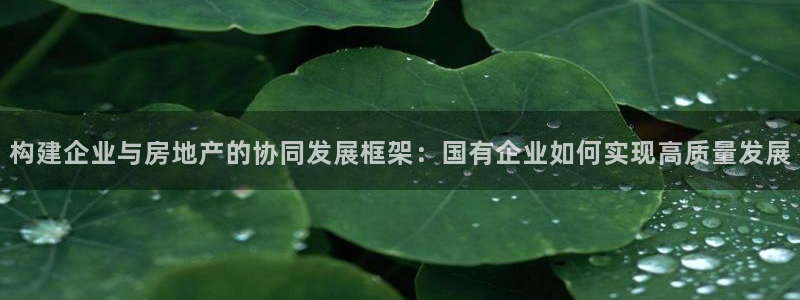 和记手机官网：构建企业与房地产的协同发展框架：国有企业如何实