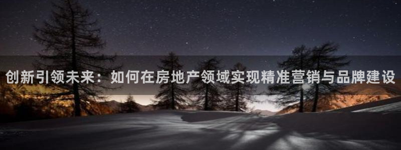 成都和记黄埔官网：创新引领未来：如何在房地产领域实现精准营销