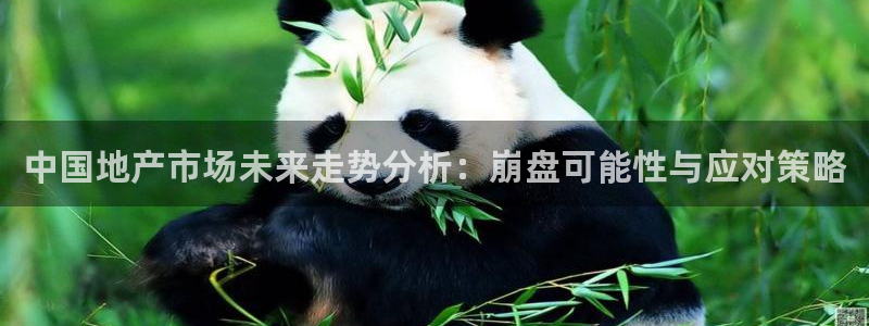 果博官网和记：中国地产市场未来走势分析：崩盘可能性与应对策略