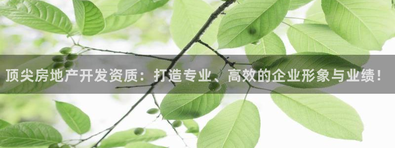 h88和记官网：顶尖房地产开发资质：打造专业、高效的企业形象