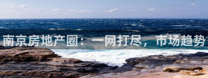 和记黄埔官网：南京房地产圈：一网打尽，市场趋势