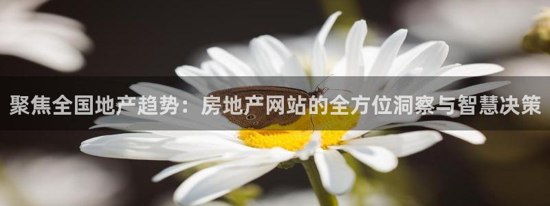 和记官网平台：聚焦全国地产趋势：房地产网站的全方位洞察与智慧