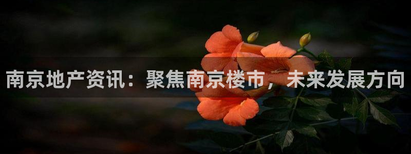和记怡情博娱中国官网：南京地产资讯：聚焦南京楼市，未来发展方