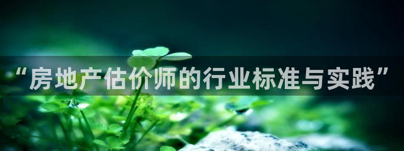 澳门3和记官网：“房地产估价师的行业标准与实践”