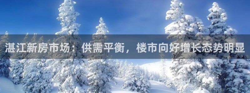 和记一品官网：湛江新房市场：供需平衡，楼市向好增长态势明显
