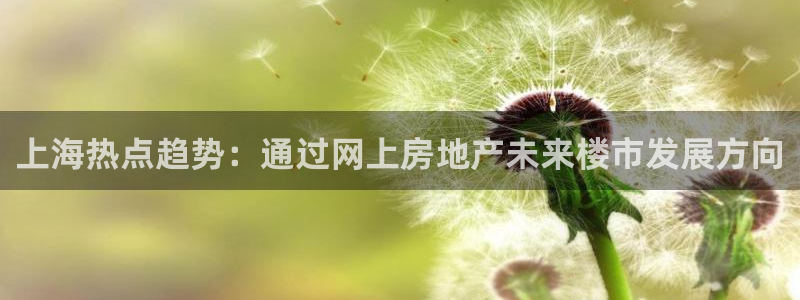 和记app官网登录：上海热点趋势：通过网上房地产未来楼市发展
